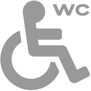 Toilet for disabled persons